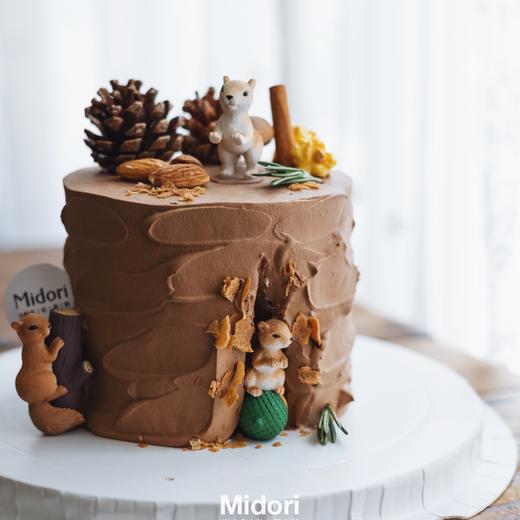 森系小松鼠·低卡糖 | Midori 商品图1