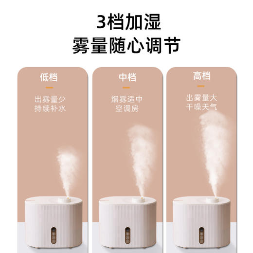 西点（SEEDEN)家用加湿器XD-3002B 商品图2