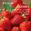 冬日莓莓·巧克力度思蛋糕 | The first strawberry in winter 商品缩略图4