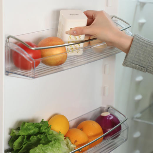 【非卖品】日本TOCLAS冰箱除味 商品图1