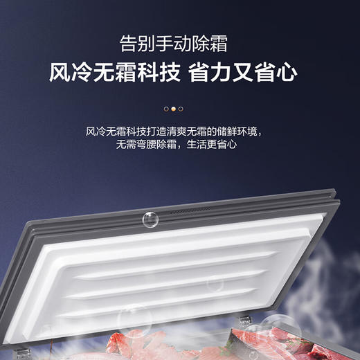 海尔（Haier）180升-38℃彩晶风冷商用家用冰柜 冷藏冷冻小冰柜家用小型冷柜 商品图2