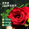 【芊芳源】云南墨红玫瑰花茶，一杯一朵冻干玫瑰，六种规格任您选择 商品缩略图4