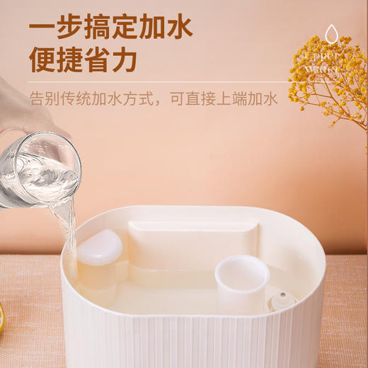 西点（SEEDEN)家用加湿器XD-3002B 商品图3
