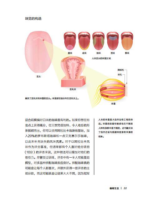 咖啡烘焙师手册 商品图2