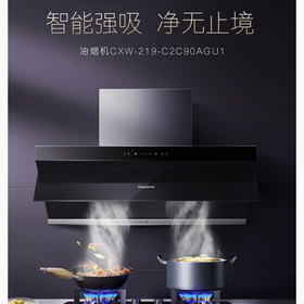 卡萨帝（Casarte）烟机 CXW-219-C2C90AGU1