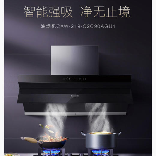 卡萨帝（Casarte）烟机 CXW-219-C2C90AGU1 商品图0