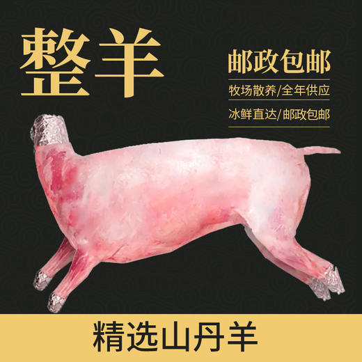 甘肃山丹羊肉 山丹军马场散养羊-半羊/整羊-10斤/20斤/30斤/40斤/50斤/ 现杀鲜肉 邮政航运包邮 商品图1
