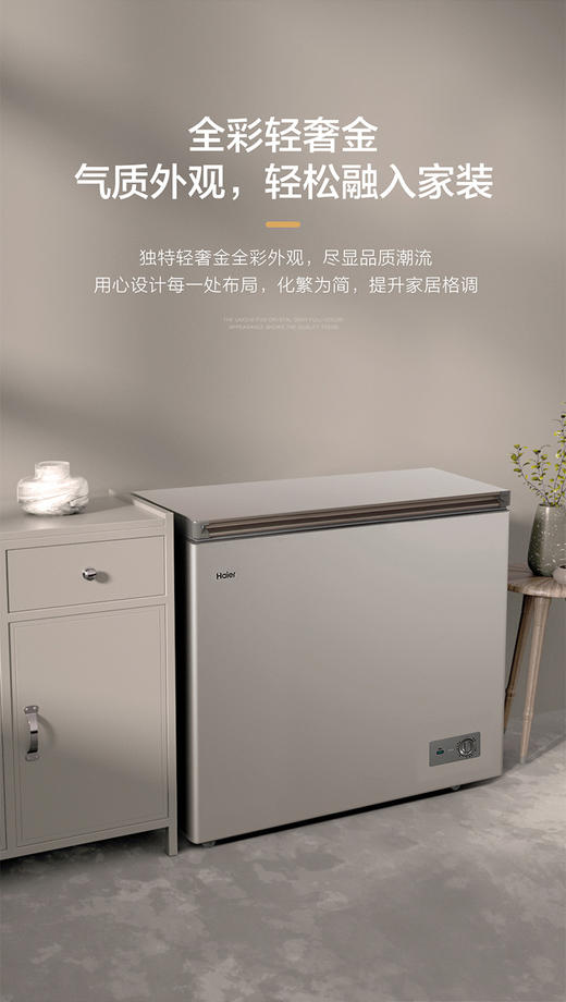 海尔 Haier 鑫蓝系列226升低霜小型商用家用冰柜 冷藏冷冻转换冷冻柜母乳冷藏冷柜BC BD-226GHPCD 商品图1