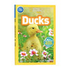 英文原版 National Geographic Kids Readers Pre-reader Ducks 鸭子 英文版 进口英语原版书籍 商品缩略图0