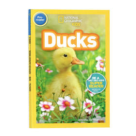 英文原版 National Geographic Kids Readers Pre-reader Ducks 鸭子 英文版 进口英语原版书籍
