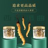 神农金康 冬虫夏草礼盒10g 那曲整虫草礼品 新中式滋补礼  原生态真滋补 喝护家人健康 商品缩略图3
