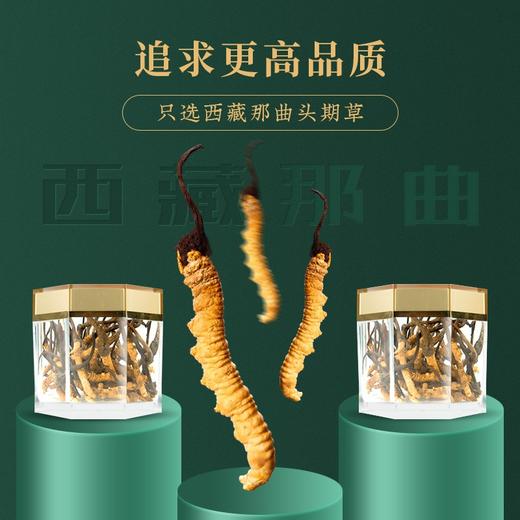神农金康 冬虫夏草礼盒10g 那曲整虫草礼品 新中式滋补礼  原生态真滋补 喝护家人健康 商品图3