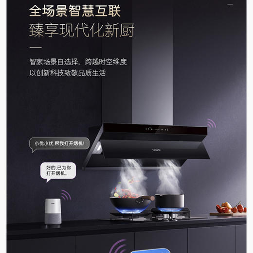 卡萨帝（Casarte）烟机 CXW-219-C2C90AGU1 商品图6