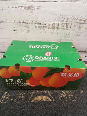 17.6度奉节脐橙5公斤左右中果