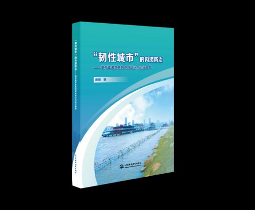 “韧性城市”的内涝防治——城市蓄涝体系的规划设计与运行调度 商品图0