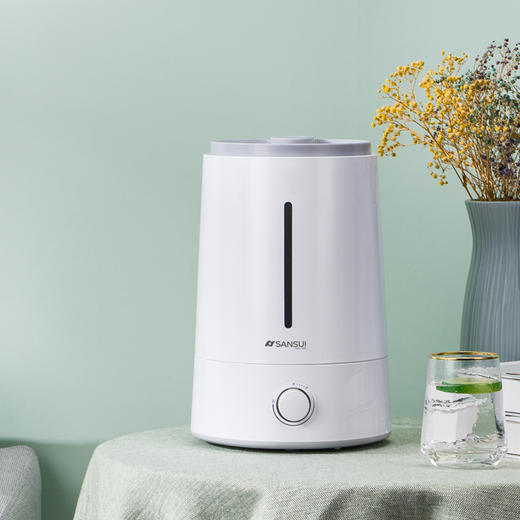 山水（SANSUI）家用上加水带过滤加湿器 SJS-Q15 商品图0