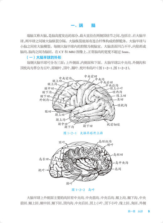 影像断层解剖 第2版 十四五规划教材 全国中等卫生职业教育教材 供医学影像技术专业用 吴宣忠主编 人民卫生出版社9787117341691 商品图4