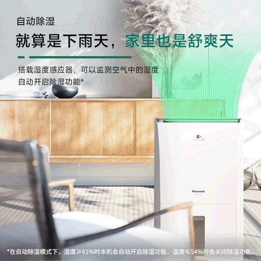 【年底大促  特价机】松下除湿机家用 智慧干衣抽湿机日除湿30L纳诺怡除菌 F-60C1YXC 商品图6