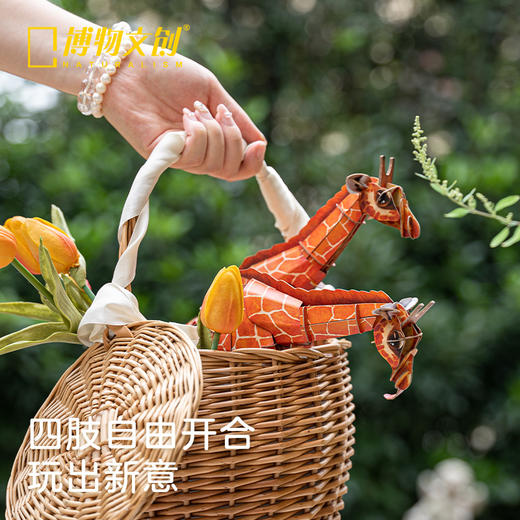 博物文创 草原系列网纹长颈鹿立体拼插纸模型 益智拼装过年节日毕业礼物 商品图4