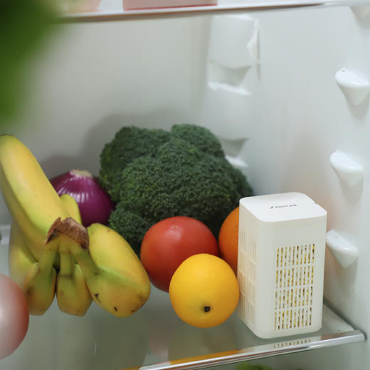 【非卖品】日本TOCLAS冰箱除味 商品图3