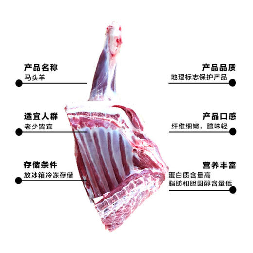 【周二、周四发货】生鲜肉类 郧西马头山羊腿10斤 商品图4
