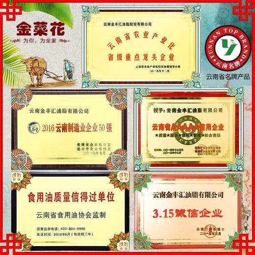 金菜花纯香菜籽油 5L/桶 商品图3