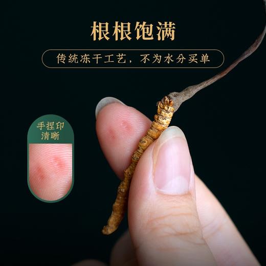 神农金康 冬虫夏草礼盒10g 那曲整虫草礼品 新中式滋补礼  原生态真滋补 喝护家人健康 商品图2