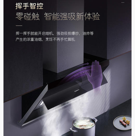 卡萨帝（Casarte）烟机 CXW-219-C2C90AGU1 商品图5