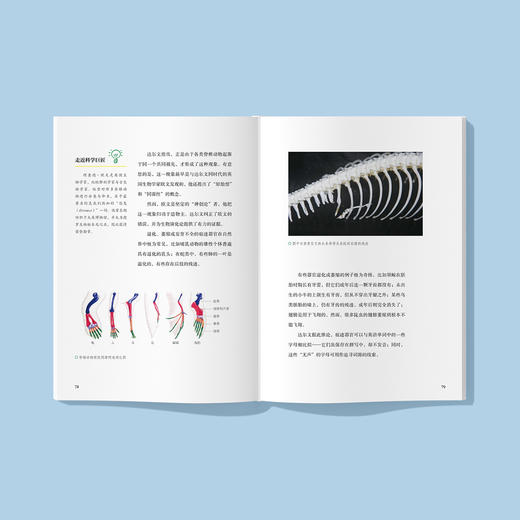 “苗德岁写给孩子的自然科学”三册套装（《地球史诗》+《生命礼赞》+《恐龙绝响》） 商品图2