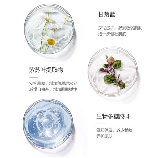 德妃紫苏养肤隔离霜 商品图7