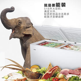 【海尔BC BD-518HD】海尔（Haier）518升卧式商用大冷冻冰柜 冷藏柜冷冻柜冰柜大冷柜