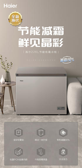 海尔 Haier 鑫蓝系列226升低霜小型商用家用冰柜 冷藏冷冻转换冷冻柜母乳冷藏冷柜BC BD-226GHPCD