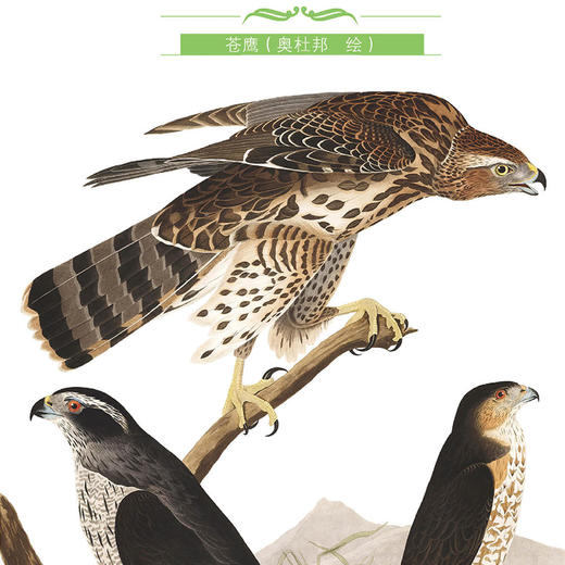 《苗德岁给孩子讲生命的故事》（全3册） 商品图3