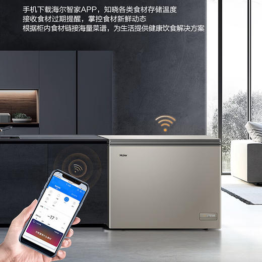 海尔（Haier）180升-38℃彩晶风冷商用家用冰柜 冷藏冷冻小冰柜家用小型冷柜 商品图0