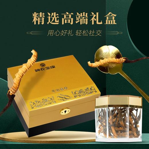 神农金康 冬虫夏草礼盒10g 那曲整虫草礼品 新中式滋补礼  原生态真滋补 喝护家人健康 商品图1