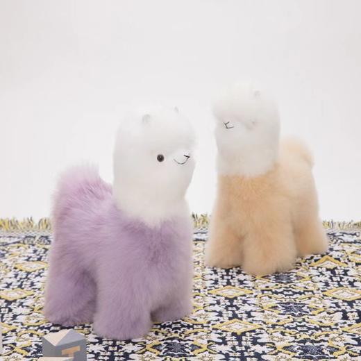 NUNA ALPACA羊驼玩偶 商品图8