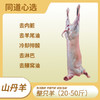 甘肃山丹羊肉 山丹军马场散养羊-半羊/整羊-10斤/20斤/30斤/40斤/50斤/ 现杀鲜肉 邮政航运包邮 商品缩略图0