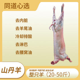 甘肃山丹羊肉 山丹军马场散养羊-半羊/整羊-10斤/20斤/30斤/40斤/50斤/ 现杀鲜肉 邮政航运包邮