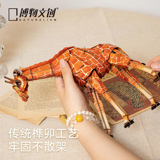 博物文创 草原系列网纹长颈鹿立体拼插纸模型 益智拼装过年节日毕业礼物 商品图2