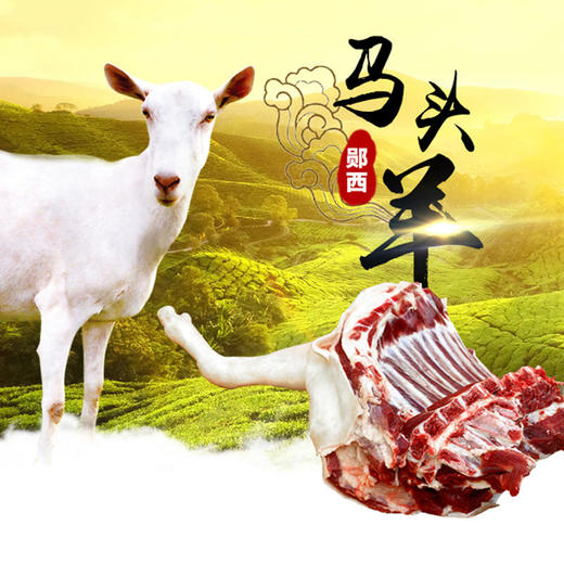 【周二、周四发货】生鲜肉类 郧西马头山羊腿（需提前预定） 商品图0