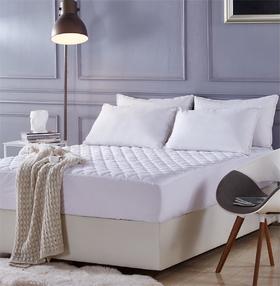 【6F】堂皇  诗瑶护理床垫