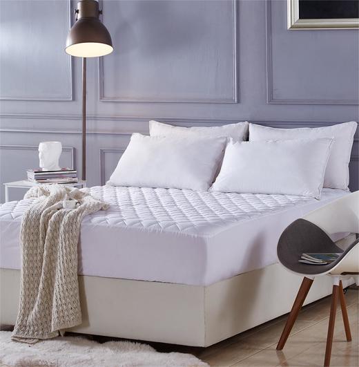 【6F】堂皇  诗瑶护理床垫 商品图0