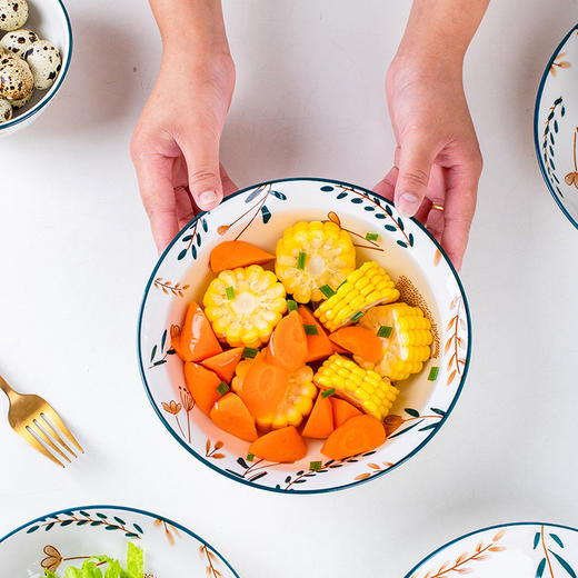 喵梦 一鹿有你16件套餐具组合碗碟套装 商品图2