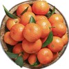 【整箱】正宗砂糖桔 (带箱重约10斤，净重约7.5斤—8斤)【2日内提货】 商品缩略图2