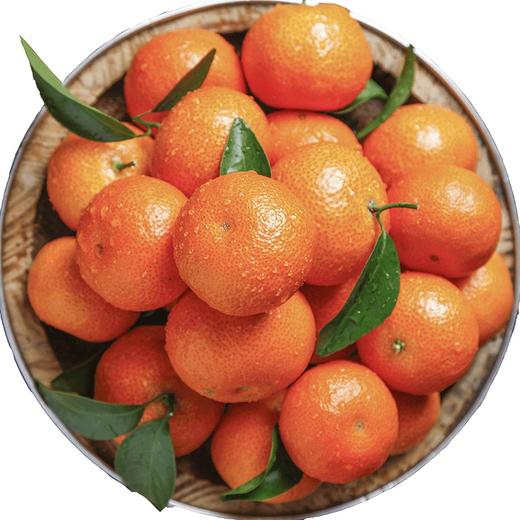 【整箱】正宗砂糖桔 (带箱重约10斤，净重约7.5斤—8斤)【2日内提货】 商品图2