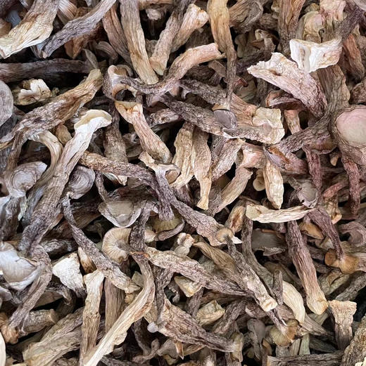 【鹿茸菇】嫰脆爽口 可炒可煲汤 无熏硫新货包邮 商品图0