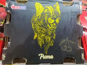 Puma纯宾Bing五斤原箱礼盒