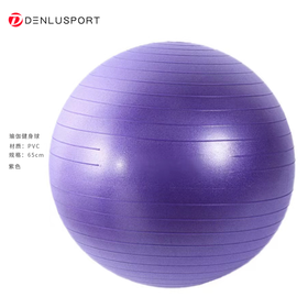 瑜伽健身球65CM加厚防爆磨砂球升级专业瑜伽球多功能形体训练（配打气筒）