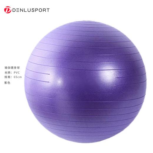 瑜伽健身球65CM加厚防爆磨砂球升级专业瑜伽球多功能形体训练（配打气筒） 商品图0