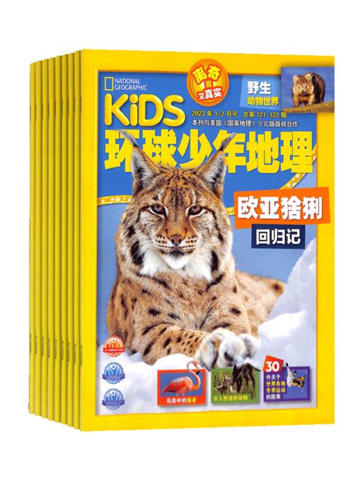 环球少年地理KiDS杂志订阅  全年订阅 共12期 每月快递 6-12岁儿童科普百科书籍 美国国家地理少儿版版权合作 商品图5